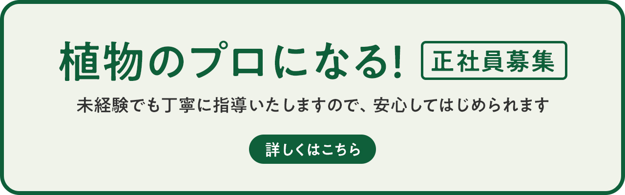 正社員募集